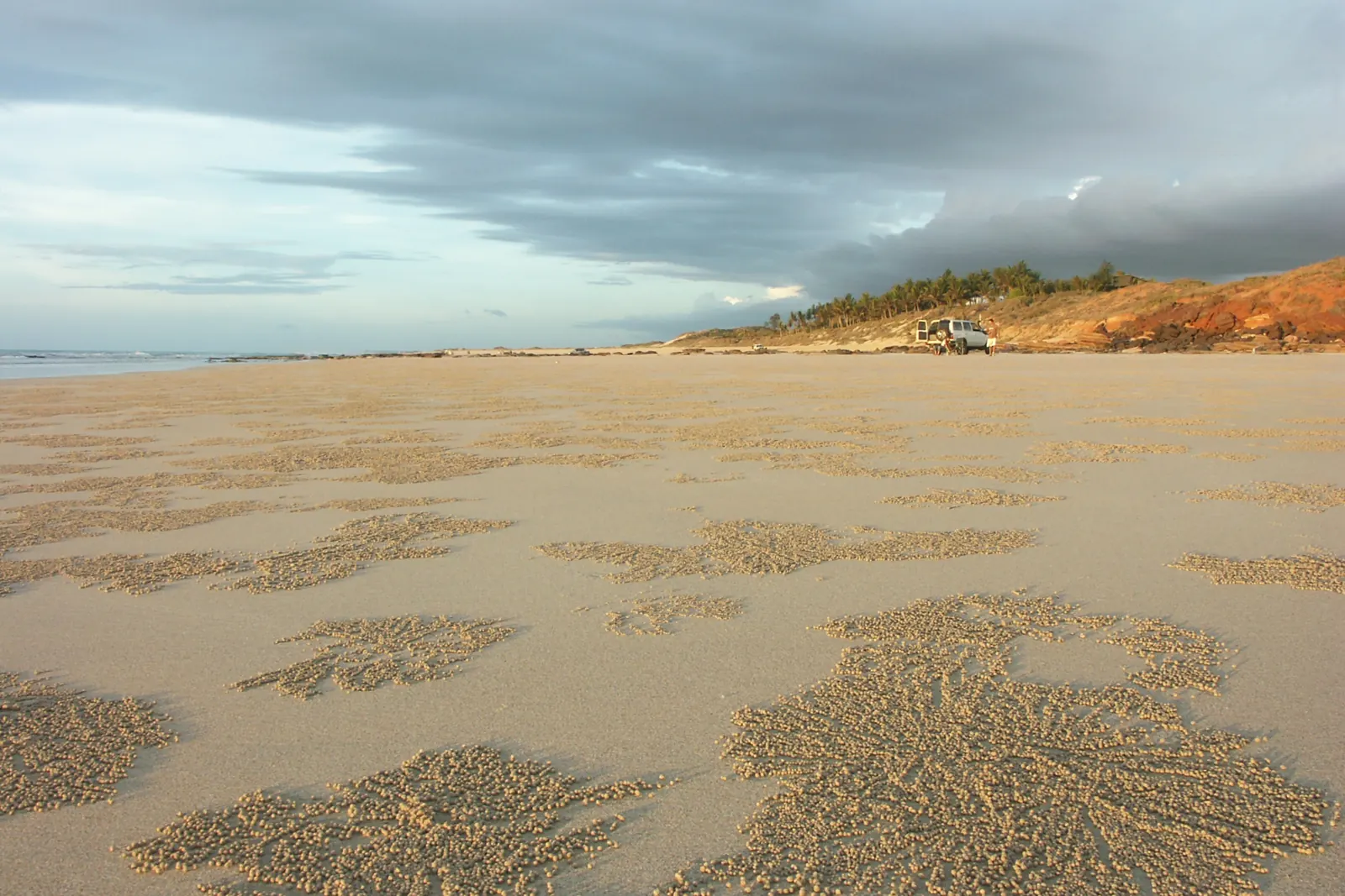 Mokrý písek vzorovaný drobnými krabími kuličkami pod červenými útesy pindan na Cable Beach, Broome